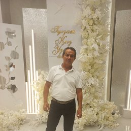 , 56, 