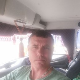 �����, 44 ����, �����������