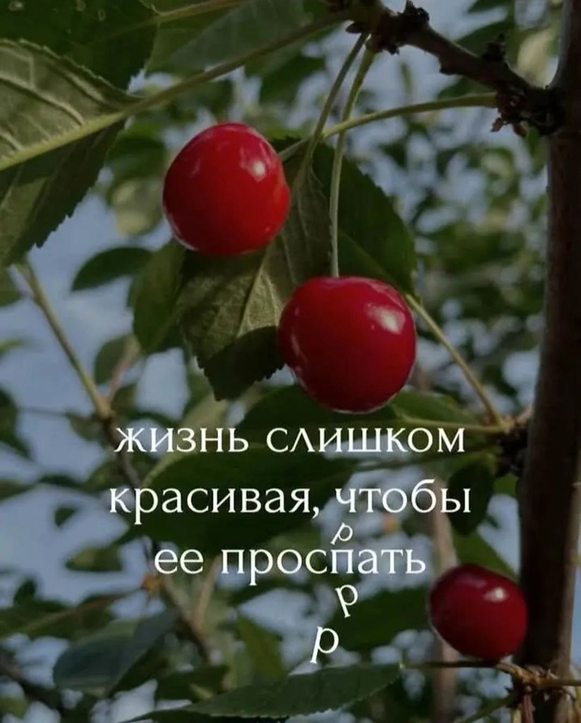   - 12  2025  07:10