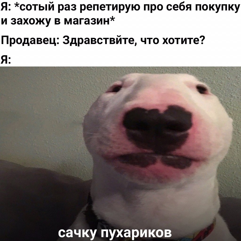    - 29  2023  11:36