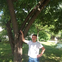 �������, ��������, 33 ����