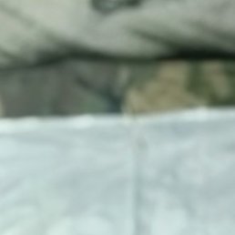 �������, ������, 44 ����