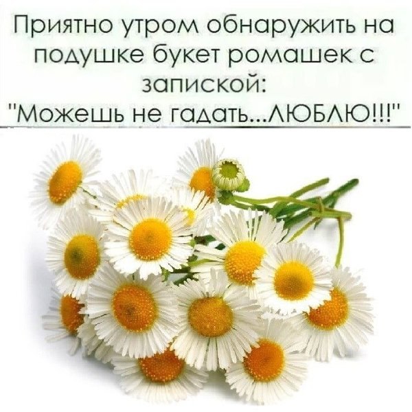  - 19  2025  10:08