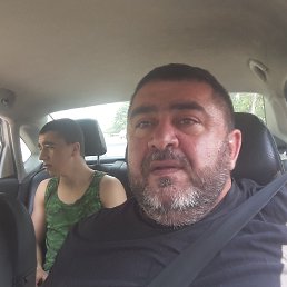 , 53, 