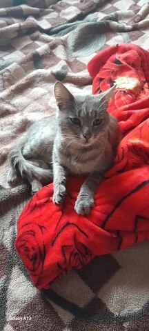 ���� Galina, �����-���������, 57 ��� - ��������� 27 ������� 2023