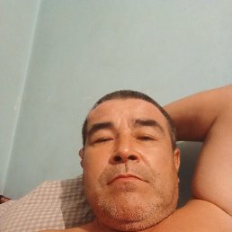 , 48, 