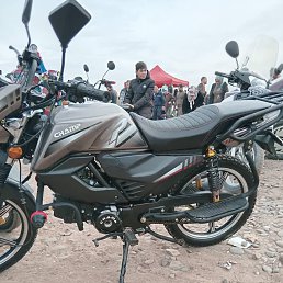 ���� ������, ������, 51 ��� - ��������� 11 ������ 2026