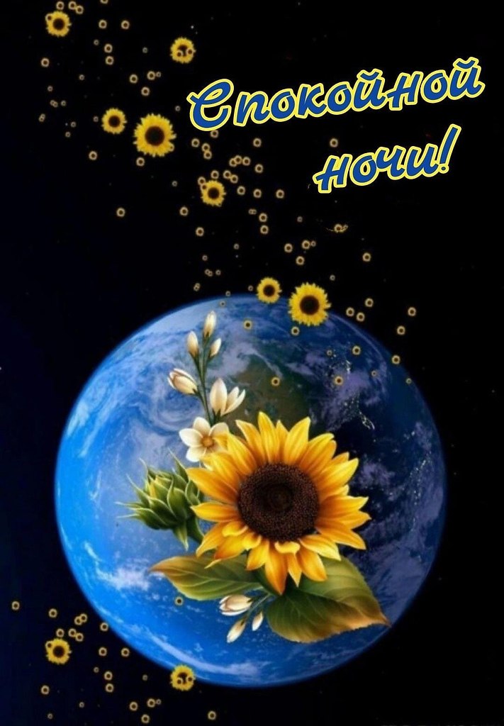   ,    . - 17  2024  21:32 - 2