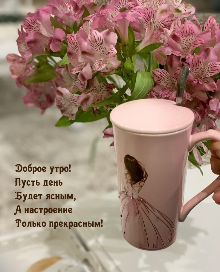 ***Victoria Viktorovna*** - 15  2024  08:22
