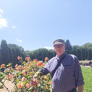 ������, 79 ���, �����-���������