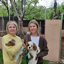 ���� ����, ������������ - ��������� 7 ��� 2025 � ������ ���� ����������