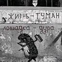 ���� �����, ����-������, 41 ��� - ��������� 19 �������� 2024 � ������ ���� ����������