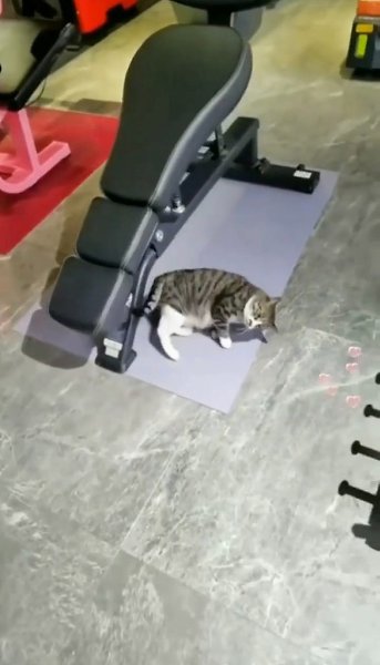 ����� �����, ��� �� ���� ������ ������
