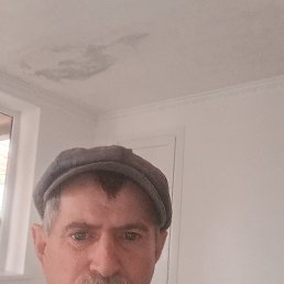 , 65, 