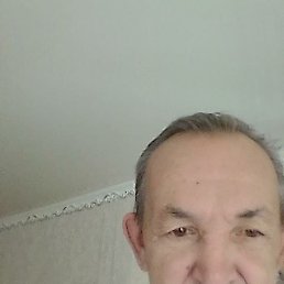 , 61, 