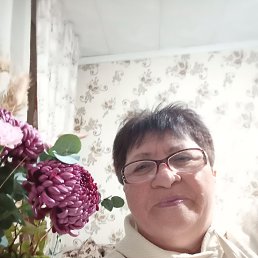 , 66, 
