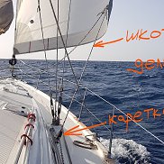 , 54 , 