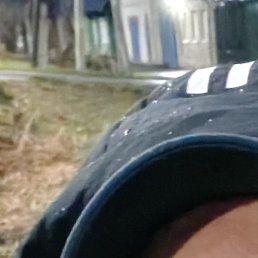 ���������, ������, 41 ���