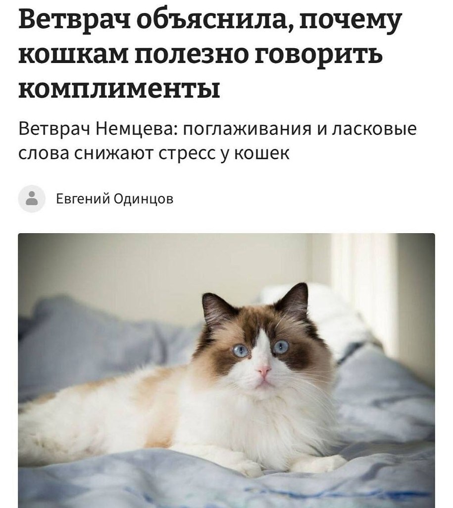 ���������� ����������, ��� ����������� � �������� ������� ������� ��� �����. �� �� ������, ������ ... - 2