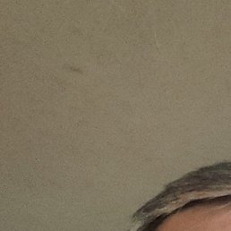 �����, ������, 53 ����