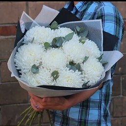 ������, ������, 46 ���