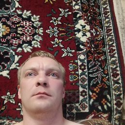 , 33, 