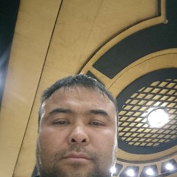 , 33, 