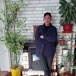 �������, 42 ����, ���������