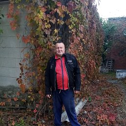 ������, ����, 55 ���