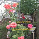 ���� ������, ������, 67 ��� - ��������� 17 ���� 2025