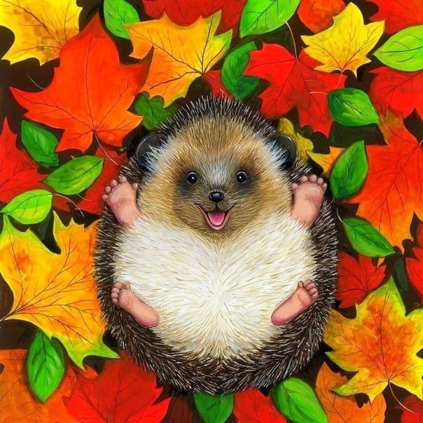     !