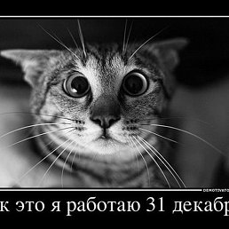 ��������, ������, 29 ���