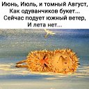 ���� ��������, ������ ��������, 65 ��� - ��������� 2 ������� 2026 � ������ �������� ��������