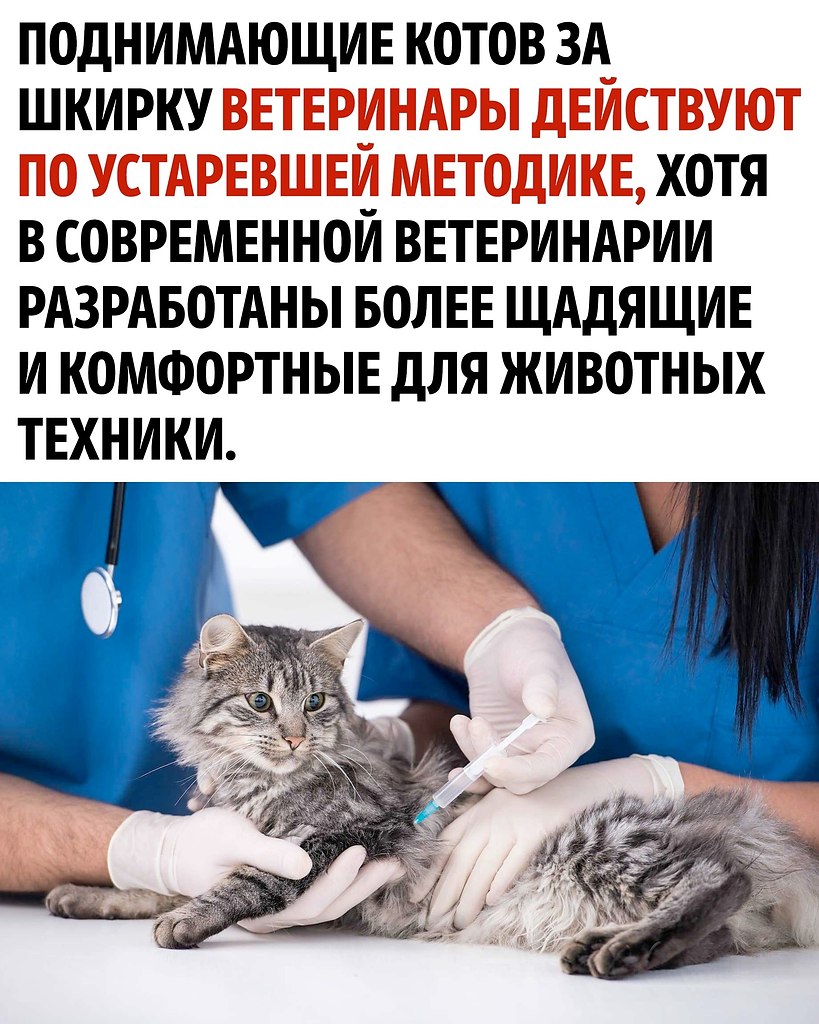     - 3
