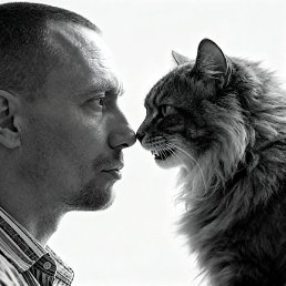 ϸ��, �����������, 38 ���