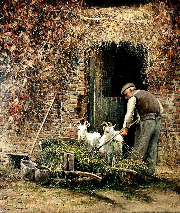  ,     .      ,   ...