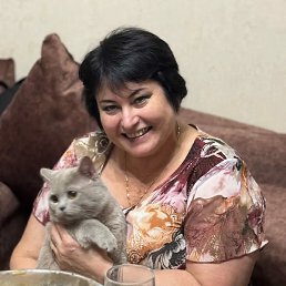 , 60, 