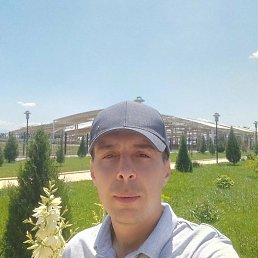 ������, �����, 43 ����