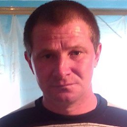 ����, ������, 41 ���