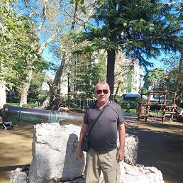 , 61, 