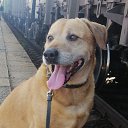 ���� �������, ��������, 39 ��� - ��������� 30 ������� 2023