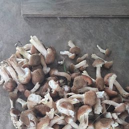 ���� ����, �����, 40 ��� - ��������� 23 ������� 2023