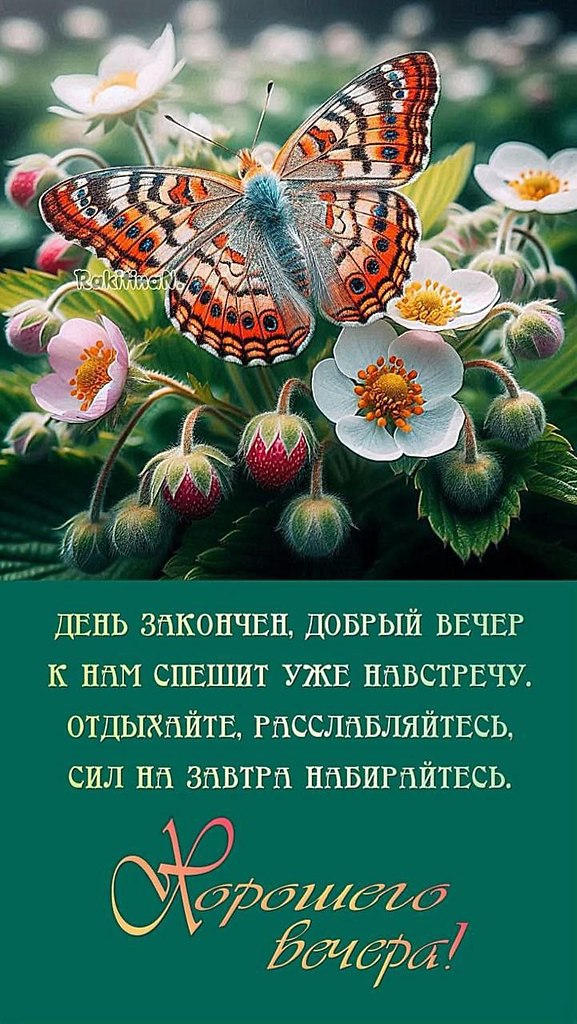   ,    . - 12  2025  20:09 - 5