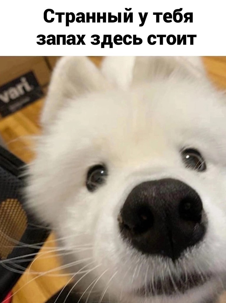 ���� �������