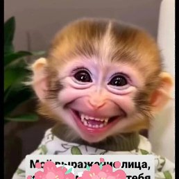 �������, ��������������, 74 ����
