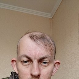 , 41, 