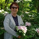 ���� ������, ����, 37 ��� - ��������� 8 ������� 2025