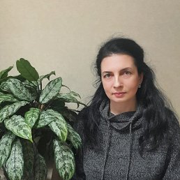 ���� ����, ������������, 49 ��� - ��������� 14 ������� 2025