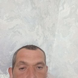 , 37, 