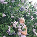  , -, 65  -  28  2024    